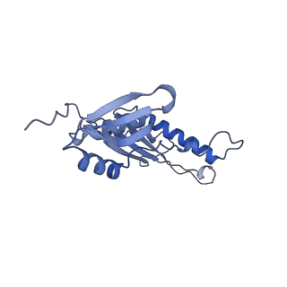 20310_6q14_AE_v1-2
Structure of the Salmonella SPI-1 injectisome NC-base