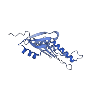 20310_6q14_AF_v1-2
Structure of the Salmonella SPI-1 injectisome NC-base