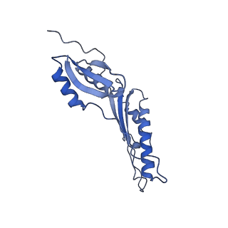 20310_6q14_AG_v1-2
Structure of the Salmonella SPI-1 injectisome NC-base