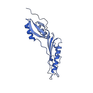 20310_6q14_AH_v1-2
Structure of the Salmonella SPI-1 injectisome NC-base