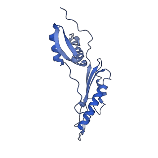 20310_6q14_AI_v1-2
Structure of the Salmonella SPI-1 injectisome NC-base