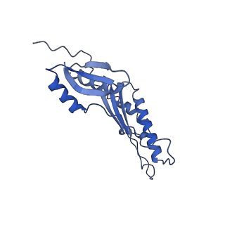 20310_6q14_AK_v1-2
Structure of the Salmonella SPI-1 injectisome NC-base