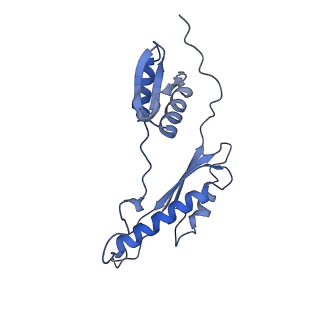 20310_6q14_AL_v1-2
Structure of the Salmonella SPI-1 injectisome NC-base