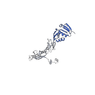 20310_6q14_A_v1-2
Structure of the Salmonella SPI-1 injectisome NC-base