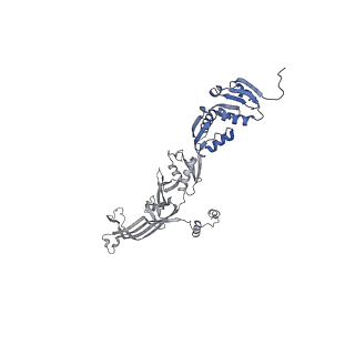 20310_6q14_B_v1-2
Structure of the Salmonella SPI-1 injectisome NC-base