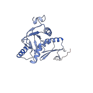 20310_6q14_E_v1-2
Structure of the Salmonella SPI-1 injectisome NC-base