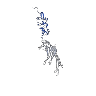 20310_6q14_I_v1-2
Structure of the Salmonella SPI-1 injectisome NC-base
