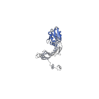 20310_6q14_P_v1-2
Structure of the Salmonella SPI-1 injectisome NC-base