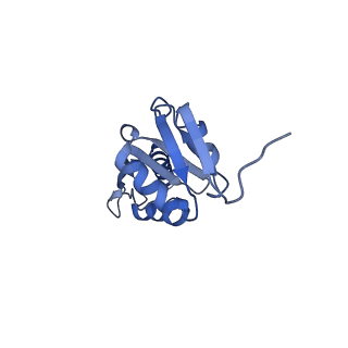 20310_6q14_Q_v1-2
Structure of the Salmonella SPI-1 injectisome NC-base