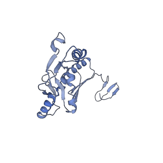 20310_6q14_S_v1-2
Structure of the Salmonella SPI-1 injectisome NC-base
