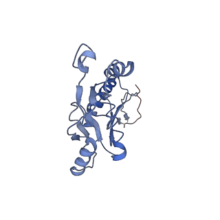 20310_6q14_T_v1-2
Structure of the Salmonella SPI-1 injectisome NC-base