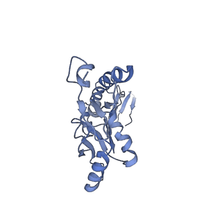 20310_6q14_U_v1-2
Structure of the Salmonella SPI-1 injectisome NC-base