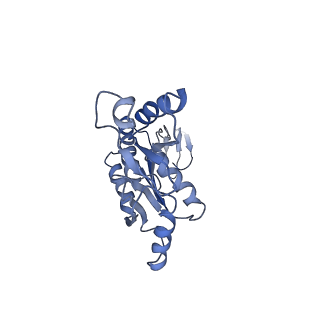 20310_6q14_V_v1-2
Structure of the Salmonella SPI-1 injectisome NC-base