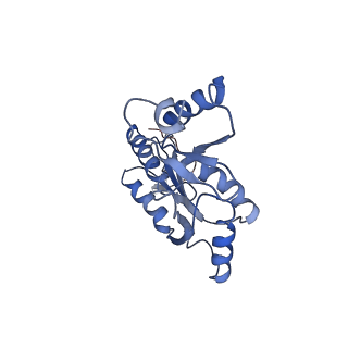 20310_6q14_W_v1-2
Structure of the Salmonella SPI-1 injectisome NC-base