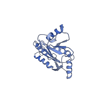 20310_6q14_X_v1-2
Structure of the Salmonella SPI-1 injectisome NC-base