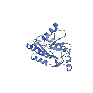 20310_6q14_Y_v1-2
Structure of the Salmonella SPI-1 injectisome NC-base