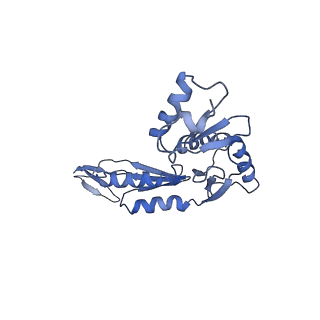 20310_6q14_a_v1-2
Structure of the Salmonella SPI-1 injectisome NC-base