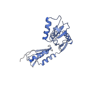 20310_6q14_c_v1-2
Structure of the Salmonella SPI-1 injectisome NC-base