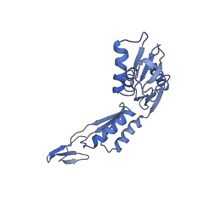 20310_6q14_d_v1-2
Structure of the Salmonella SPI-1 injectisome NC-base