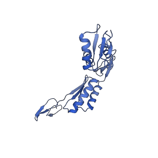 20310_6q14_e_v1-2
Structure of the Salmonella SPI-1 injectisome NC-base
