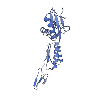 20310_6q14_g_v1-2
Structure of the Salmonella SPI-1 injectisome NC-base