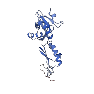 20310_6q14_i_v1-2
Structure of the Salmonella SPI-1 injectisome NC-base