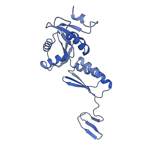 20310_6q14_k_v1-2
Structure of the Salmonella SPI-1 injectisome NC-base
