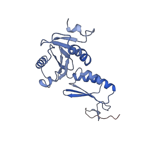 20310_6q14_l_v1-2
Structure of the Salmonella SPI-1 injectisome NC-base