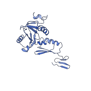 20310_6q14_m_v1-2
Structure of the Salmonella SPI-1 injectisome NC-base