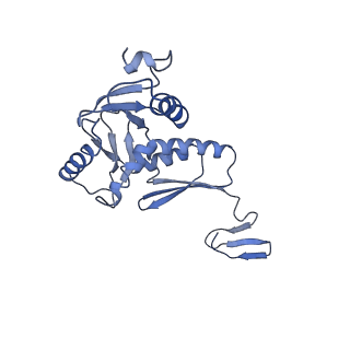 20310_6q14_n_v1-2
Structure of the Salmonella SPI-1 injectisome NC-base
