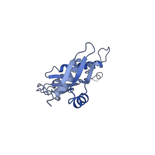 20310_6q14_q_v1-2
Structure of the Salmonella SPI-1 injectisome NC-base