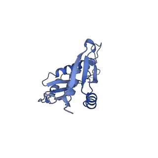 20310_6q14_r_v1-2
Structure of the Salmonella SPI-1 injectisome NC-base