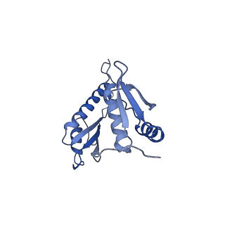 20310_6q14_t_v1-2
Structure of the Salmonella SPI-1 injectisome NC-base