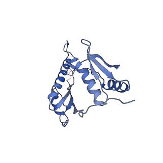 20310_6q14_u_v1-2
Structure of the Salmonella SPI-1 injectisome NC-base
