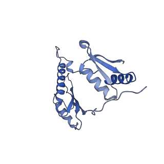 20310_6q14_v_v1-2
Structure of the Salmonella SPI-1 injectisome NC-base