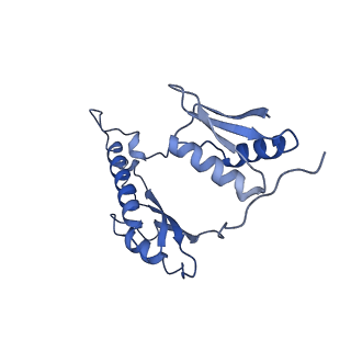 20310_6q14_w_v1-2
Structure of the Salmonella SPI-1 injectisome NC-base