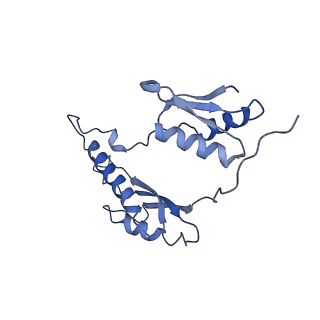 20310_6q14_x_v1-2
Structure of the Salmonella SPI-1 injectisome NC-base