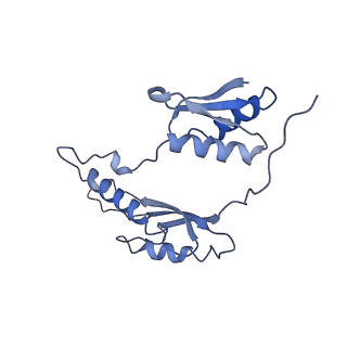 20310_6q14_y_v1-2
Structure of the Salmonella SPI-1 injectisome NC-base