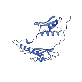 20310_6q14_z_v1-2
Structure of the Salmonella SPI-1 injectisome NC-base