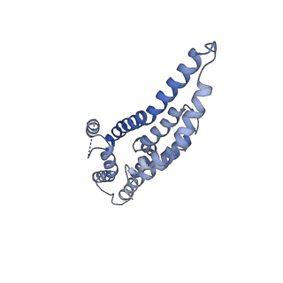 20556_6q16_1_v1-2
Focussed refinement of InvGN0N1:PrgHK:SpaPQR:PrgIJ from Salmonella SPI-1 injectisome NC-base