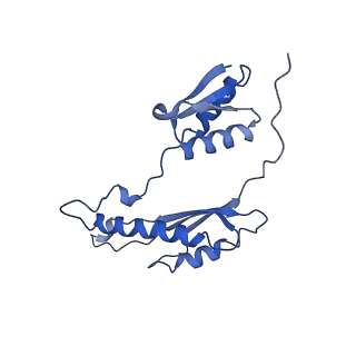 20556_6q16_AA_v1-2
Focussed refinement of InvGN0N1:PrgHK:SpaPQR:PrgIJ from Salmonella SPI-1 injectisome NC-base