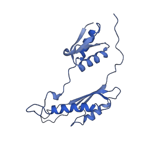 20556_6q16_AB_v1-2
Focussed refinement of InvGN0N1:PrgHK:SpaPQR:PrgIJ from Salmonella SPI-1 injectisome NC-base