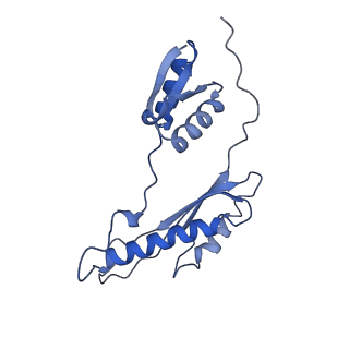 20556_6q16_AC_v1-2
Focussed refinement of InvGN0N1:PrgHK:SpaPQR:PrgIJ from Salmonella SPI-1 injectisome NC-base