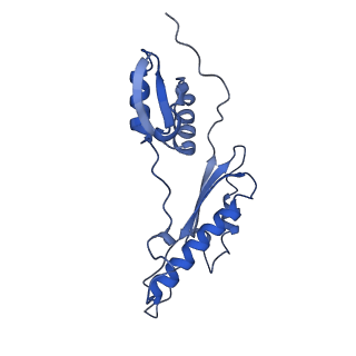 20556_6q16_AD_v1-2
Focussed refinement of InvGN0N1:PrgHK:SpaPQR:PrgIJ from Salmonella SPI-1 injectisome NC-base