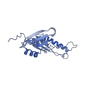 20556_6q16_AE_v1-2
Focussed refinement of InvGN0N1:PrgHK:SpaPQR:PrgIJ from Salmonella SPI-1 injectisome NC-base