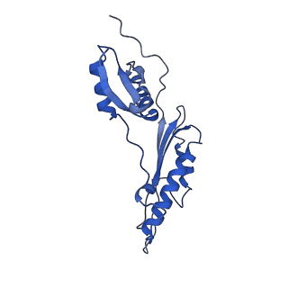 20556_6q16_AI_v1-2
Focussed refinement of InvGN0N1:PrgHK:SpaPQR:PrgIJ from Salmonella SPI-1 injectisome NC-base
