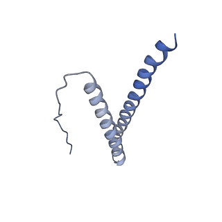 20556_6q16_AO_v1-2
Focussed refinement of InvGN0N1:PrgHK:SpaPQR:PrgIJ from Salmonella SPI-1 injectisome NC-base