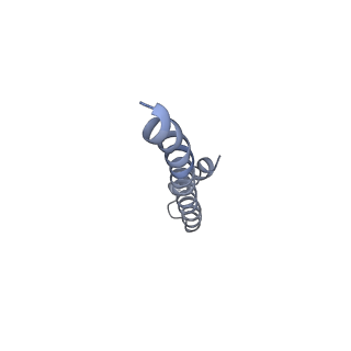 20556_6q16_AW_v1-2
Focussed refinement of InvGN0N1:PrgHK:SpaPQR:PrgIJ from Salmonella SPI-1 injectisome NC-base