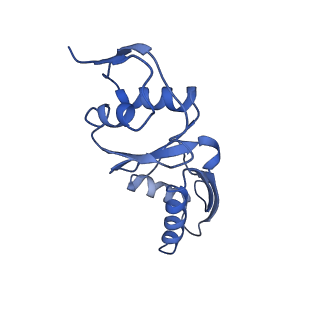 20556_6q16_J_v1-2
Focussed refinement of InvGN0N1:PrgHK:SpaPQR:PrgIJ from Salmonella SPI-1 injectisome NC-base