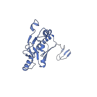 20556_6q16_S_v1-2
Focussed refinement of InvGN0N1:PrgHK:SpaPQR:PrgIJ from Salmonella SPI-1 injectisome NC-base
